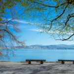 Wooden benches on Mainau island on Lake Constance (Bodensee), facing the water on the shady waterside.